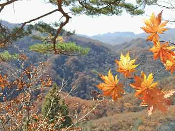 永兴新能源小电车哪个性价比高（新能源小电动车哪个牌子好）